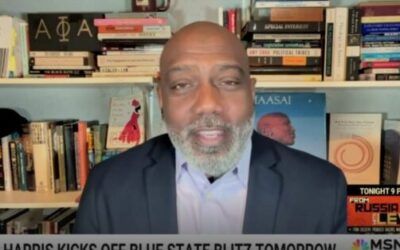 Dem strategist says voters who don’t believe Harris has ‘done enough’ are ‘intentionally not paying attention’