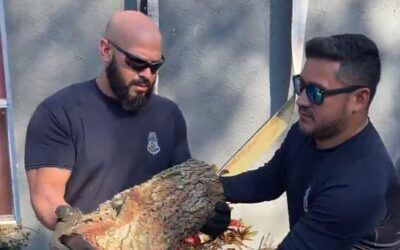Govt. agencies ROASTED for pathetic hurricane cleanup video: ’14 people to move a 12 lb log 30 feet’