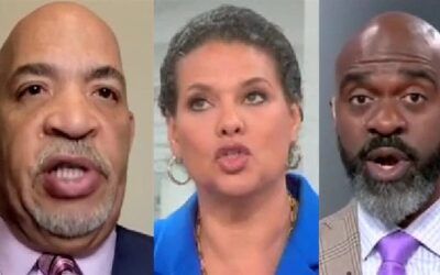 CNN panel careens off the rails after guest’s remarks about ‘house blacks’ vs ‘field blacks’