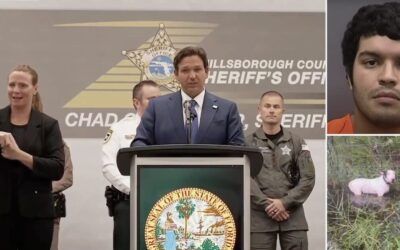 DeSantis announces charges after dog abandoned on side of road during hurricane – monster identified