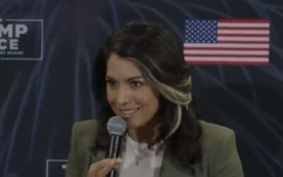 Tulsi: Dems ‘FREAKED OUT’ that Trump’s ‘privately-funded Transition Team already getting to work’