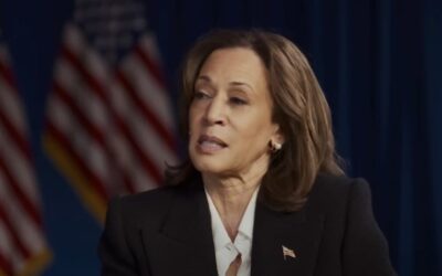 Questions arise as founder of ‘Kamala’s Wins’ account is earning taxpayer-funded salary in Biden-Harris admin