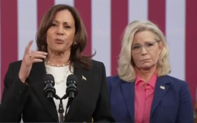 Dem lawmaker fumes about ‘cynical’ billboards linking Kamala to Liz