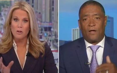 Harris campaign co-chair gets testy with MacCallum when she ruined his soundbite