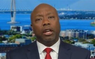 ‘You good, CBS News?’ Tim Scott finds hidden gem about DEI expert brought in to speak to CBS staff about racial firestorm