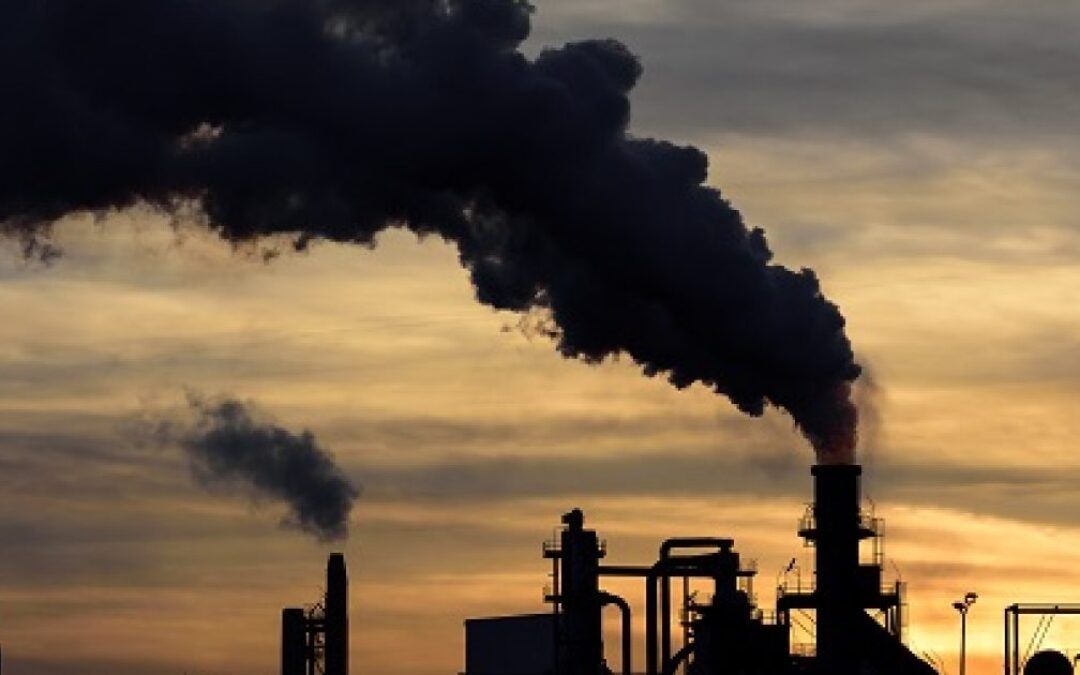 Must watch Billy Bob Thorton clip taking on environmental extremists goes viral