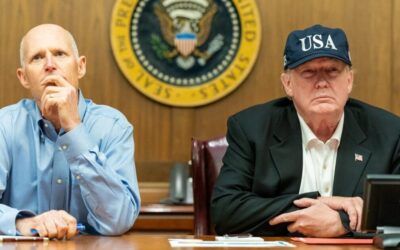 Trump spells out key requirement for Senate GOP leader, top contender agrees, ‘whatever it takes’