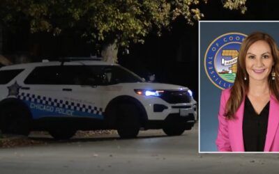 First-term Chicago Dem charged with DUI after crash ‘mocks’ arresting officer’s penis size
