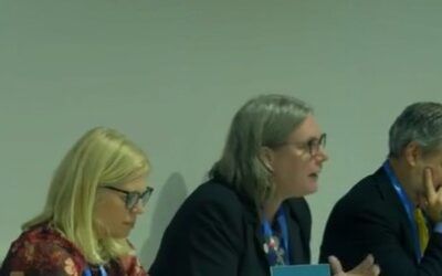 Speaker at UN Summit claims ‘naming extreme heat events’ will help fight climate change