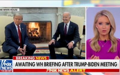 Kayleigh McEnany says press reached ‘higher fever pitch’ during Trump-Biden meeting than she’s ‘heard in four years’