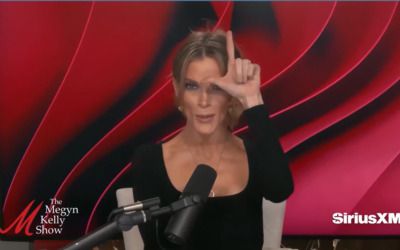 ‘Totally feckless’: Megyn Kelly goes after Hollywood elites paid by Harris, mocks Dems eyeing 2028