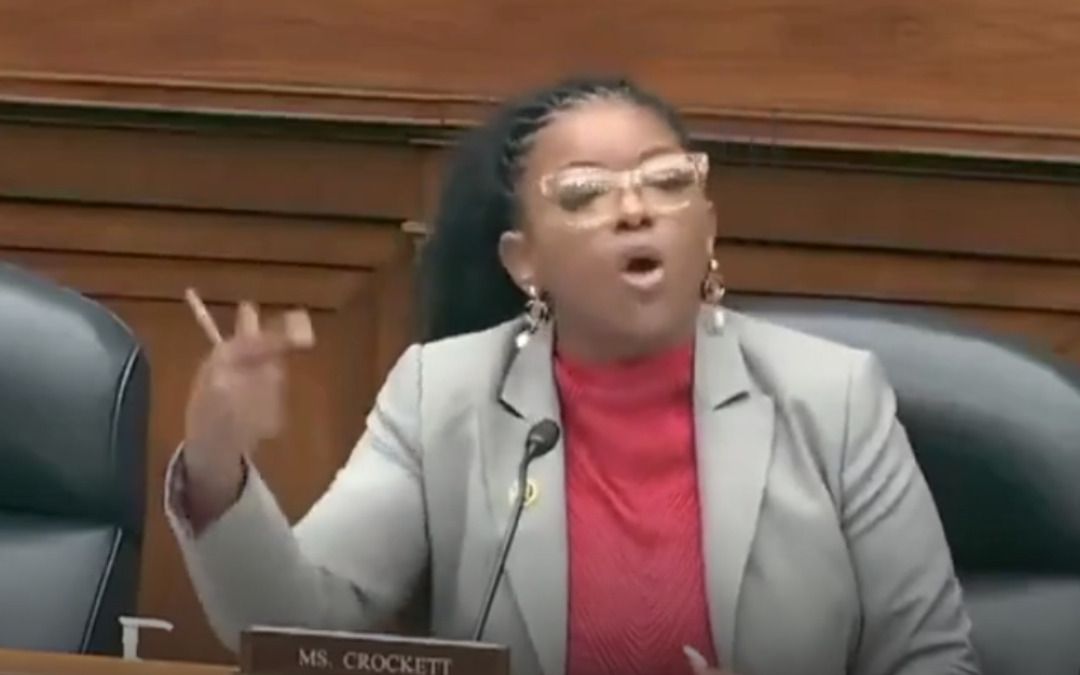 ‘We were stolen!’: Dem rep goes on racial rant during hearing, says black Americans didn’t ‘ask to be here’