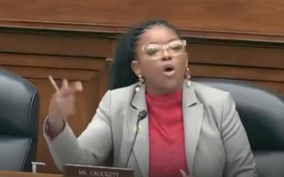 ‘We were stolen!’: Dem rep goes on racial rant during hearing, says black Americans didn’t ‘ask to be here’