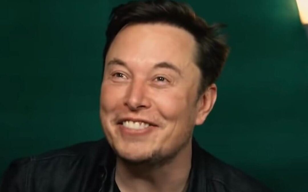 Fox anchors stunned by how far Americans will go to help Musk clean up government waste