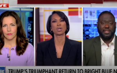 ‘That’s not helpful’: Harris Faulkner slams Dem guest after he claims Americans don’t understand how strong economy is