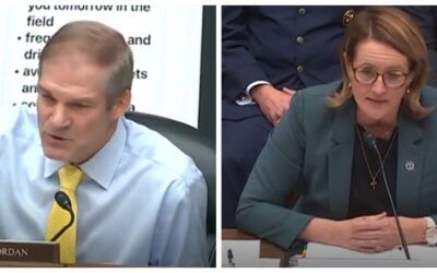 ‘Sounds like Peter Strzok’: Jordan grills FEMA director over text message telling workers to avoid Trump supporters