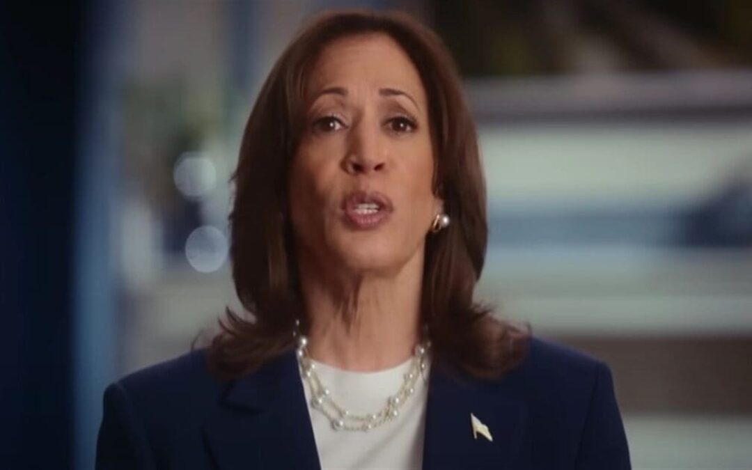 Kamala mulls comeback after being crushed by Trump