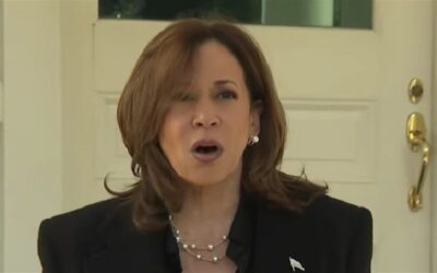 Harris campaign adviser points finger of blame for missed opportunity with Joe Rogan