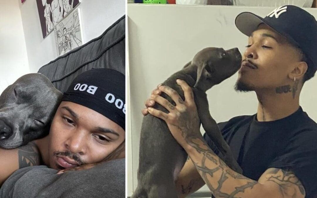 NYC migrant arrested for throwing ex-pal’s puppy off of 14th floor balcony walks free
