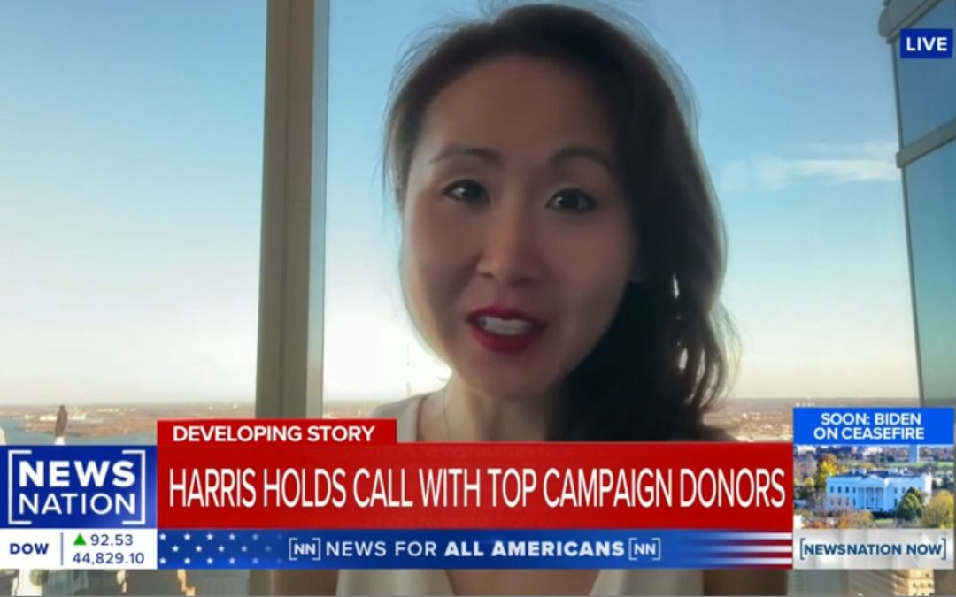 ‘I was stunned’: DNC official says Harris took no ‘responsibility’ for blowing billions during campaign donor call