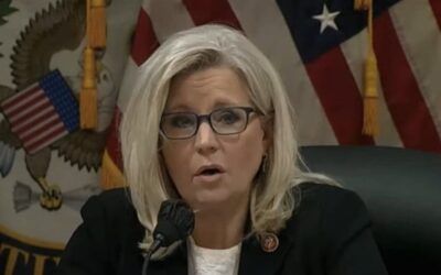 Top lawyer suggests Liz Cheney should flee the country