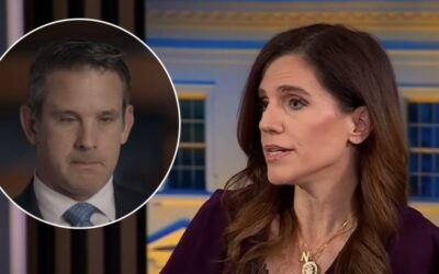 Nancy Mace beautifully rips troll Adam Kinzinger over trans restroom controversy