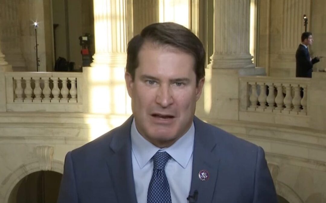 Dem Rep. blasts own party for war on free speech: ‘I’m done with Democratic purity tests’