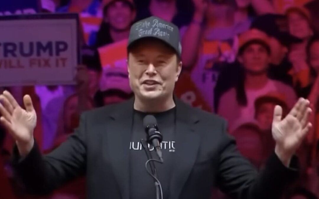 Auf Wiedersehen, Herr Scholz! Will Musk Propel AfD to power in Germany?