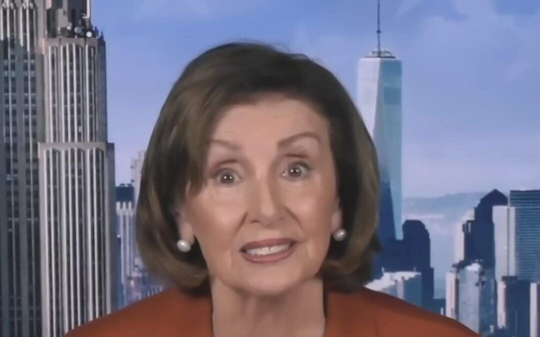 DOGE fans spot job of Pelosi’s niece, say she needs to go