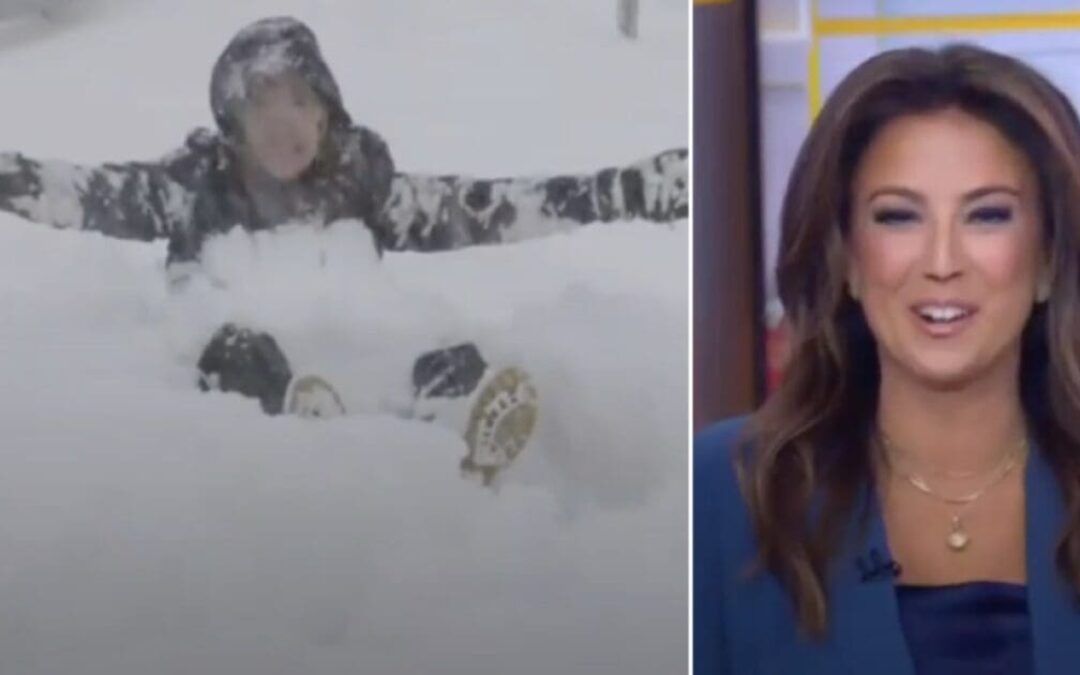 ‘Here we go!’ Weatherman happily obliges when Fox anchor asks him to make a snow angel