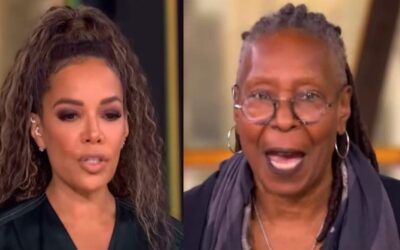 ‘The View’ divas strongly endorse Dems shunning Trump-supporting family during holidays
