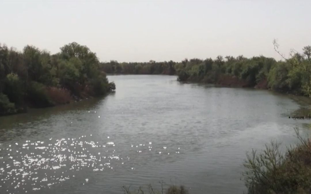 Texas to accept water from Mexico but demands it follow terms of treaty