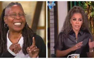 Whoopi cuts to commercial when ‘The View’ goes off the rails: ‘Just know that something is chewing on us’