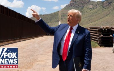 More than 2 million deportations, self-removals in less than 250 days
