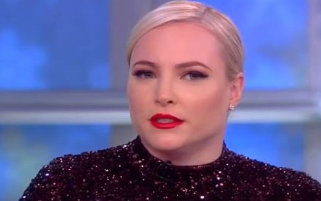 Meghan McCain’s ‘nepo baby’ diss of Hunter boomerangs bigly