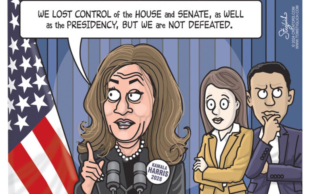 BS daily political cartoons: Kamala, ‘we lost everything.’ Also, Kamala, ‘we are not defeated’