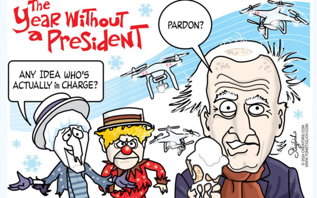 BS political cartoons of the week: The year without a president — any idea who’s actually in charge?