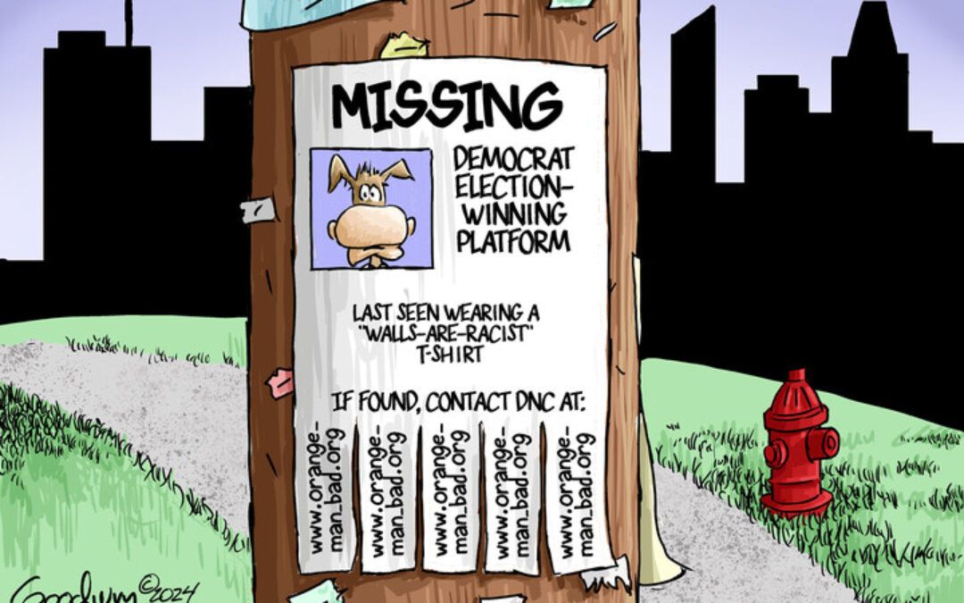 BS daily political cartoons: ‘Democrat election-winning platform’ MIA