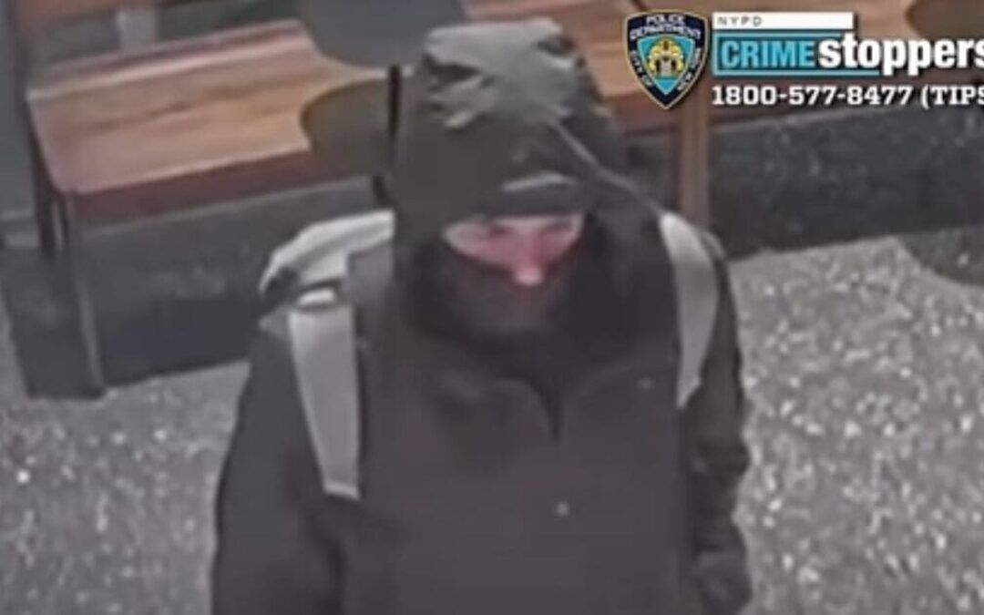 Mugshot of suspected CEO killer sparks swooning, scary sign of our warped society