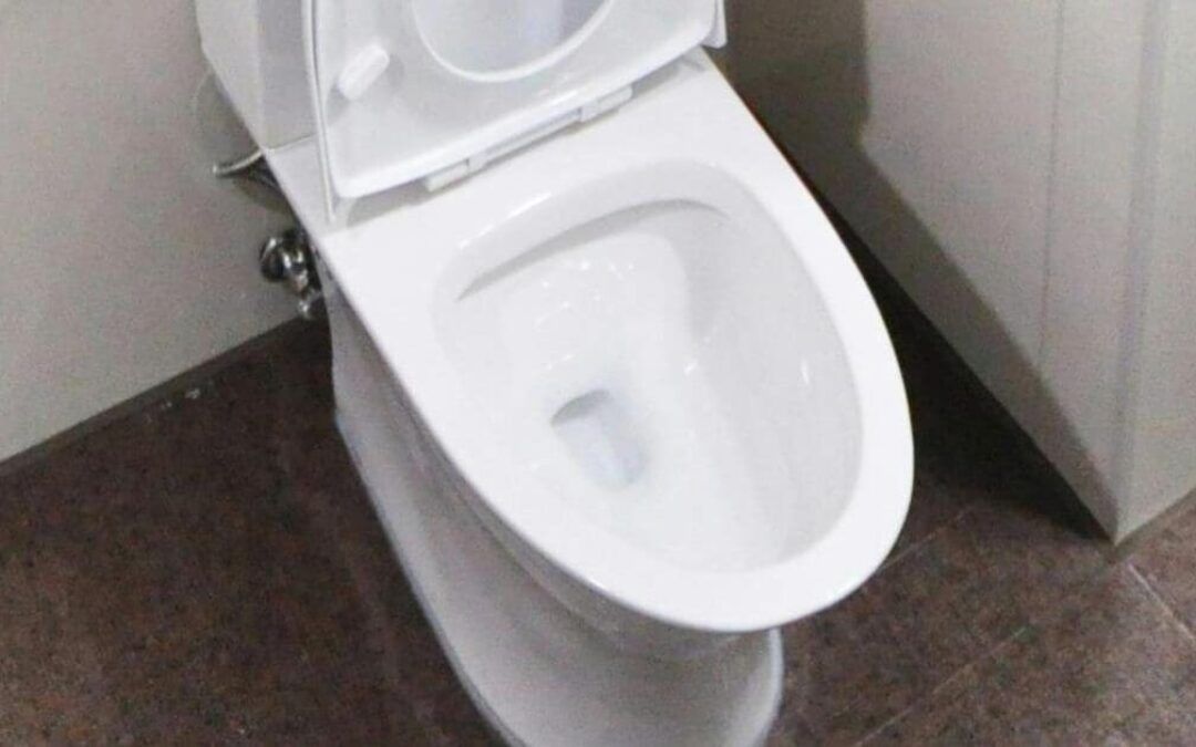 ‘Yikes, that’s severe!’ NY Times panel concedes Dem brand is ‘in the toilet’