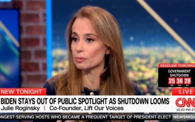 ‘Brought this on ourselves’: Dem predicts massive backlash after party leaders exposed for ‘lying’