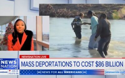 GOP strategist fires back at Dem strategist who claims DNA testing is ‘invasion of privacy’ for illegal immigrants