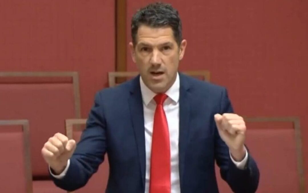 ‘Brilliant!’ Australian senator does the Trump dance and REAMS ‘legacy media’