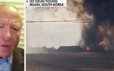 Aviation expert not sold on bird strike theory in South Korean plane crash