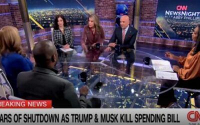 CNN panel gets into heated exchange after panelist says Trump, Elon Musk have ‘no interest in governing’