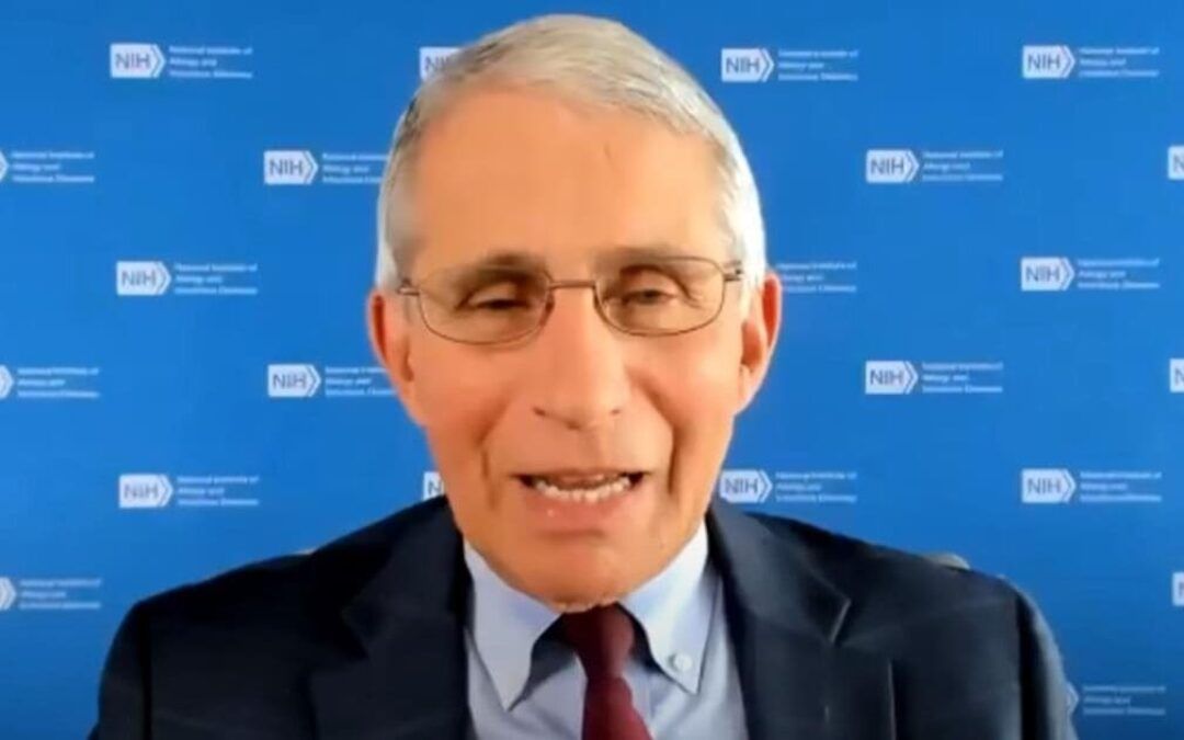 Dems defend Fauci, COVID story, rebut GOP report
