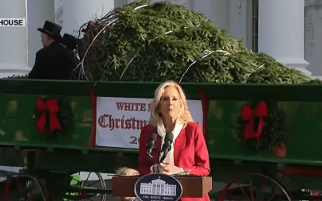 Jill Biden eviscerated over White House Christmas Tree choice
