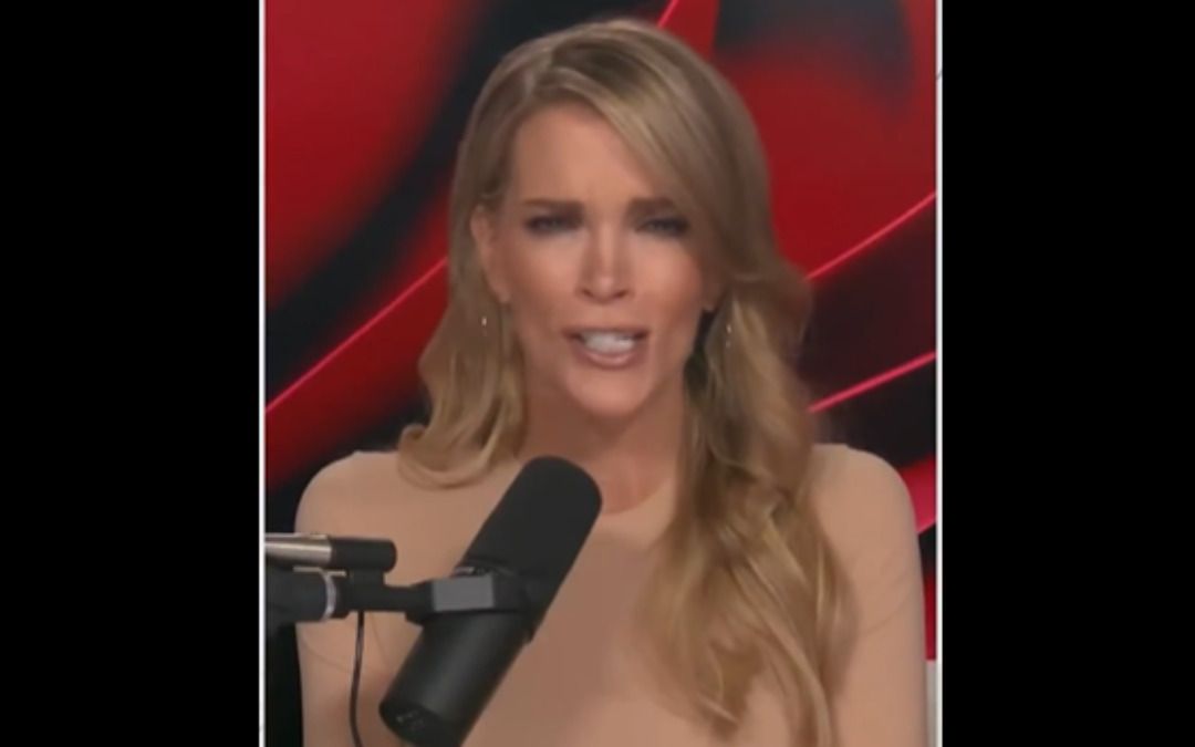 ‘These people are f*cking sick’: Megyn Kelly slams ‘gross’ praise for alleged CEO assassin