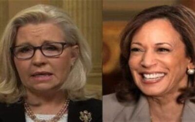 Pro-Palestine voters go Trump after Kamala chose ‘path of Liz Cheney,’ says Tlaib’s sister