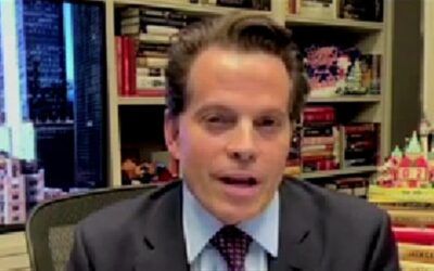 ‘No need for you to get hurt’: Scaramucci warns Elon Musk to ‘lay off’ politics